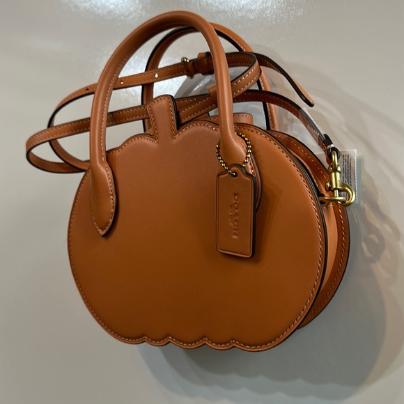 NWT Coach Fall Pumpkin Bag Orange Runway Leather Purse Zippered Case NYFW Handle - Picture 9 of 14